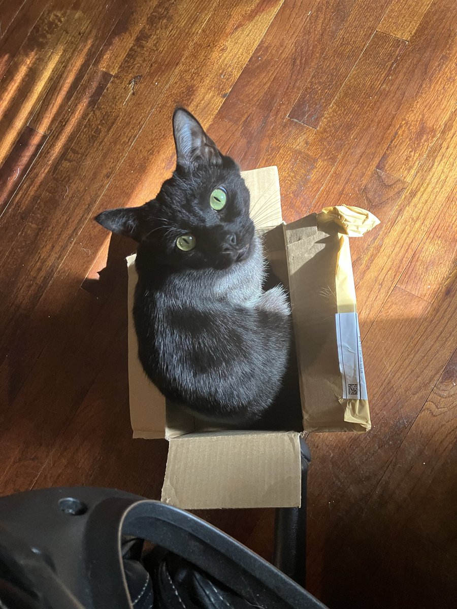 Seth Wade tweet media