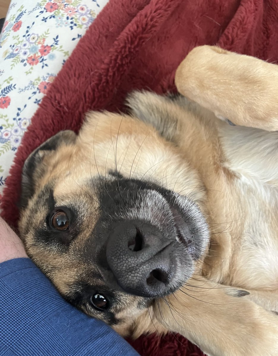 Seth Wade tweet media