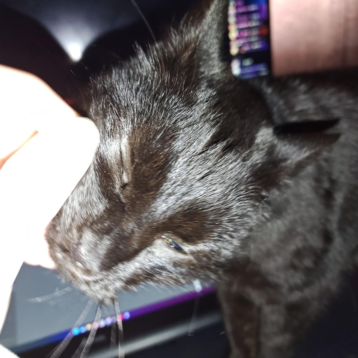 Seth Wade tweet media