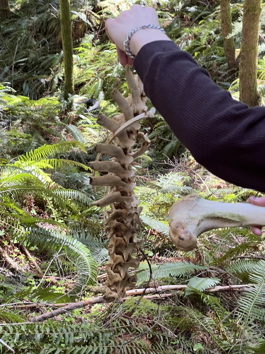 sunrics ´ཀ` tweet media