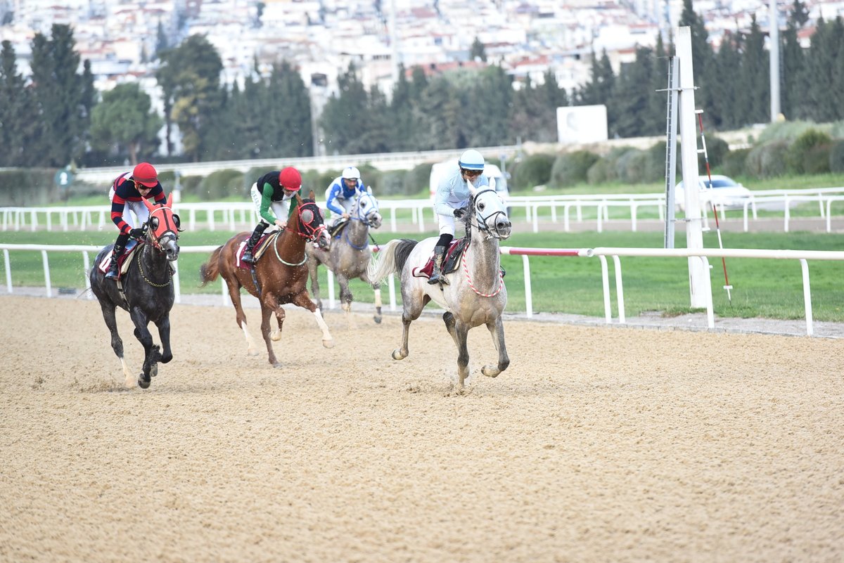 Çakabey Koşusu'nda kazanan İlkerhan oldu 

tjk.org/TR/YarisSever/…