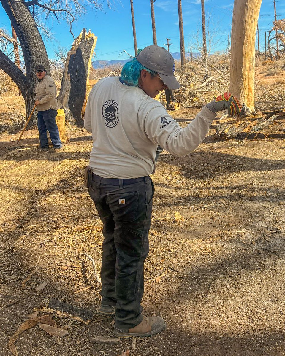 ServeNewMexico's tweet photo. From restoration to connection: Ancestral Lands Conservation Corps’ (ALCC)(@ancestrallands) MLK Day of Service brought families, partners, and community together along the Bosque. https://t.co/QuZOaFdv0P