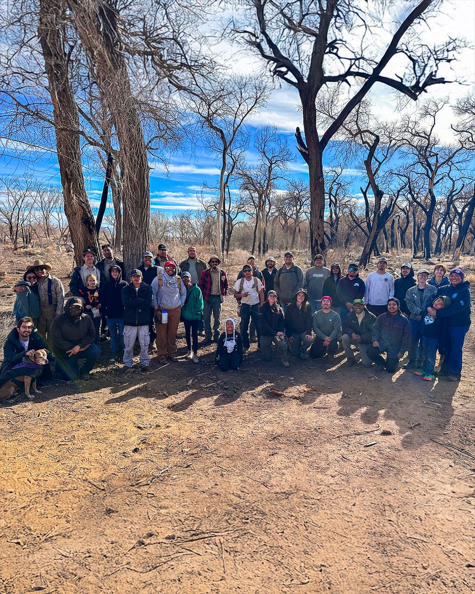 ServeNewMexico's tweet photo. From restoration to connection: Ancestral Lands Conservation Corps’ (ALCC)(@ancestrallands) MLK Day of Service brought families, partners, and community together along the Bosque. https://t.co/QuZOaFdv0P