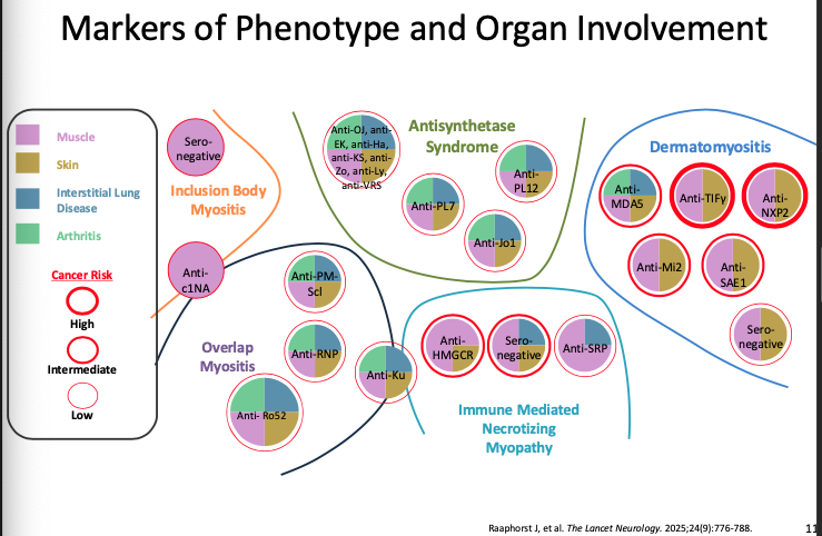 Eric Dein tweet media