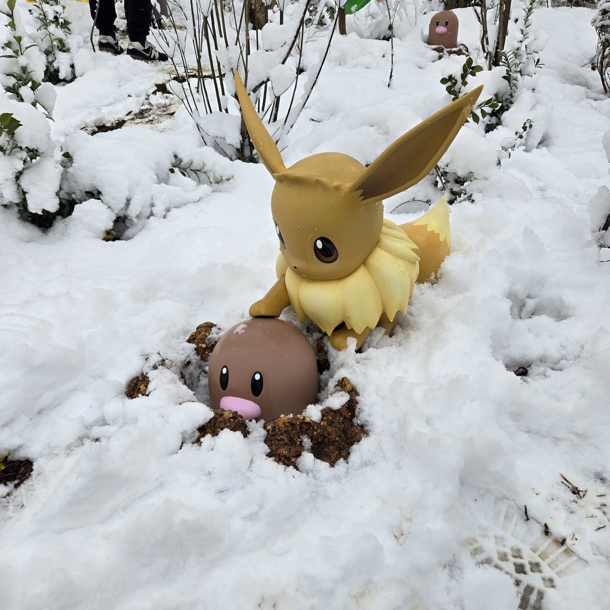 Sakura_ovoovo's tweet photo. 白銀のポケパークカントー
たぶんレアだよね

雪でもみんな元気だったよ
そして突然のふぶきとポケモンの鳴き声
サイホーン？君かな、いまのふぶき使った子は😂 https://t.co/e75fRitjPR