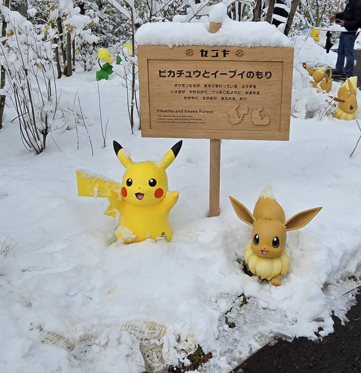 Sakura_ovoovo's tweet photo. 白銀のポケパークカントー
たぶんレアだよね

雪でもみんな元気だったよ
そして突然のふぶきとポケモンの鳴き声
サイホーン？君かな、いまのふぶき使った子は😂 https://t.co/e75fRitjPR