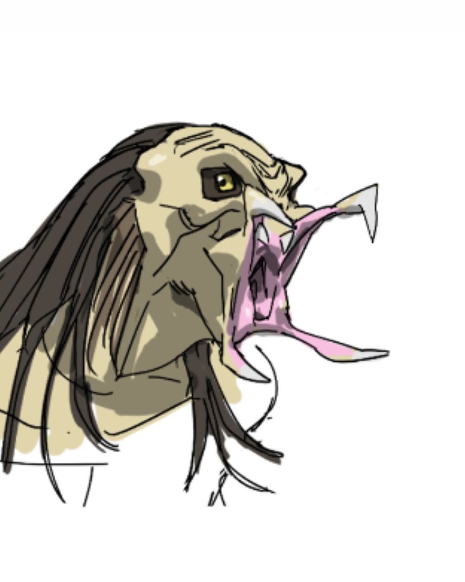 jongheon054 정종헌 tweet media