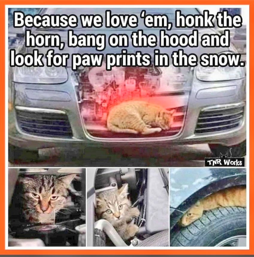 ❄️❄️❄️❄️❄️❄️