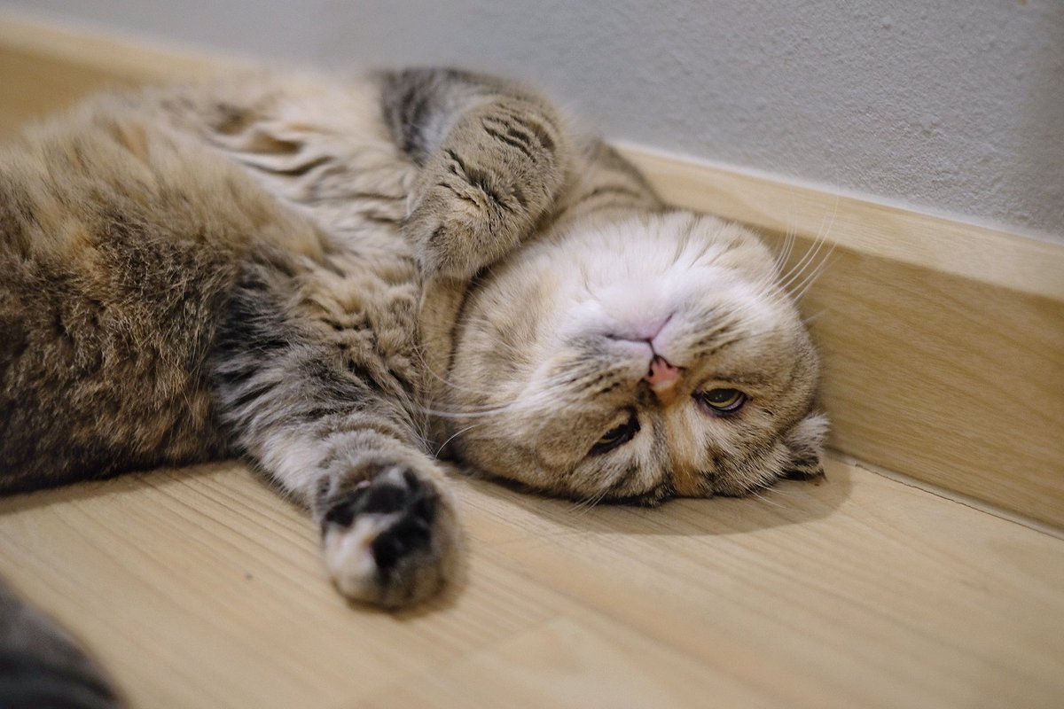 Bonusiie's tweet image. ท้อวะ