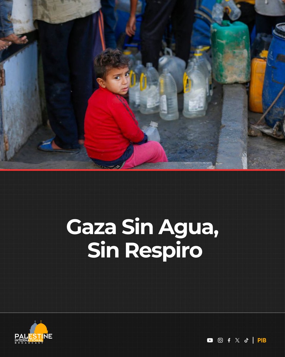 UNRWA alertó que Israel ha destruido casi por completo las redes de agua y saneamiento en Gaza.
Cada día, la población espera horas por agua mientras la catástrofe humanitaria se agrava.