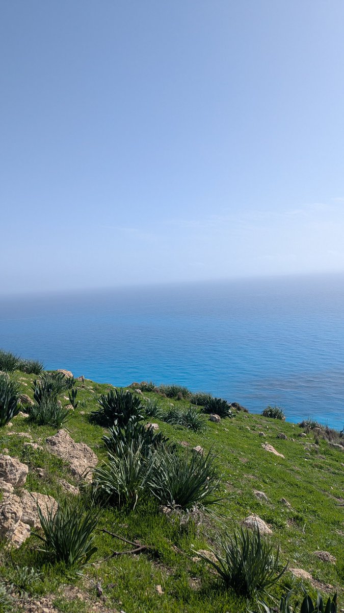 Maria Kruglova tweet media