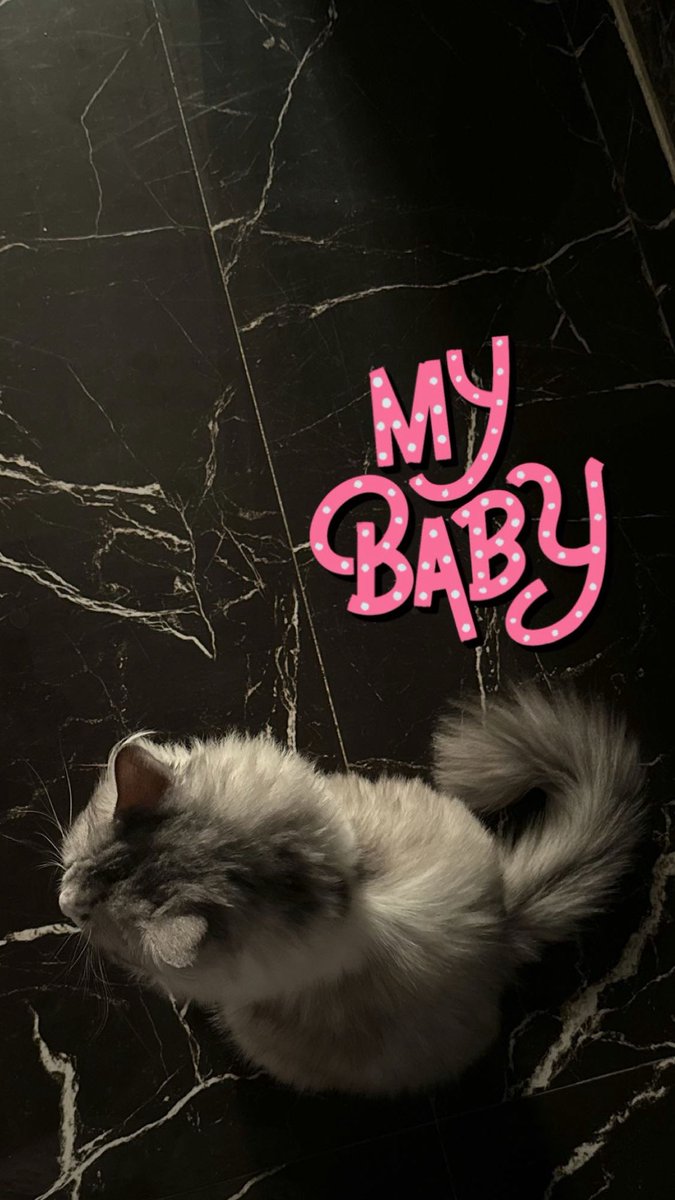 Ahad alanazi tweet media