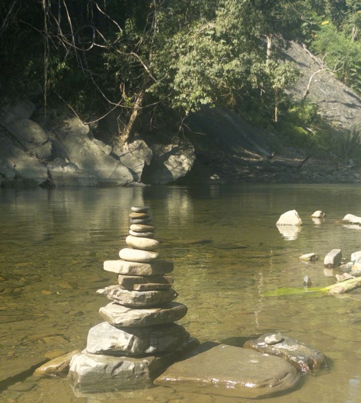 𓍊˖ ࣪⊹ tweet media