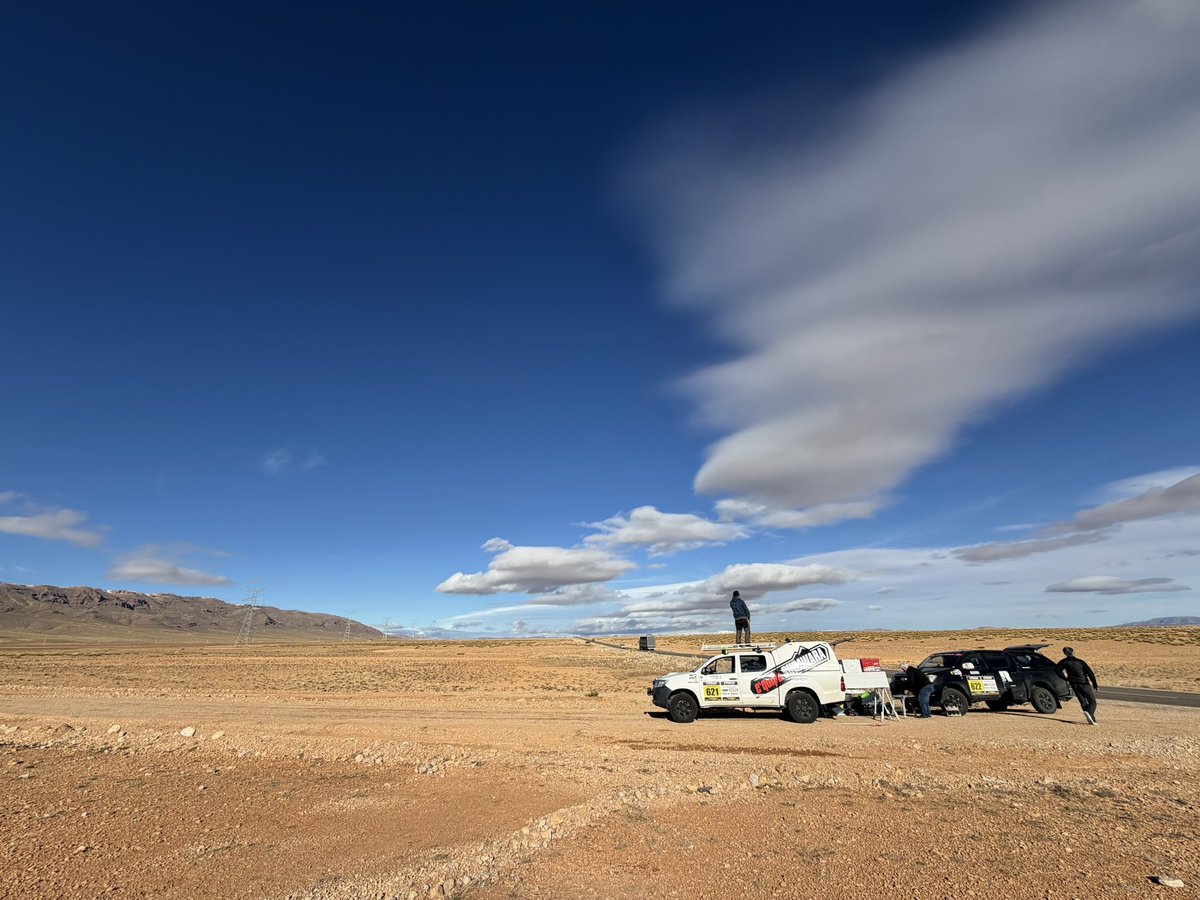 シンヨ / Shinyo tweet media