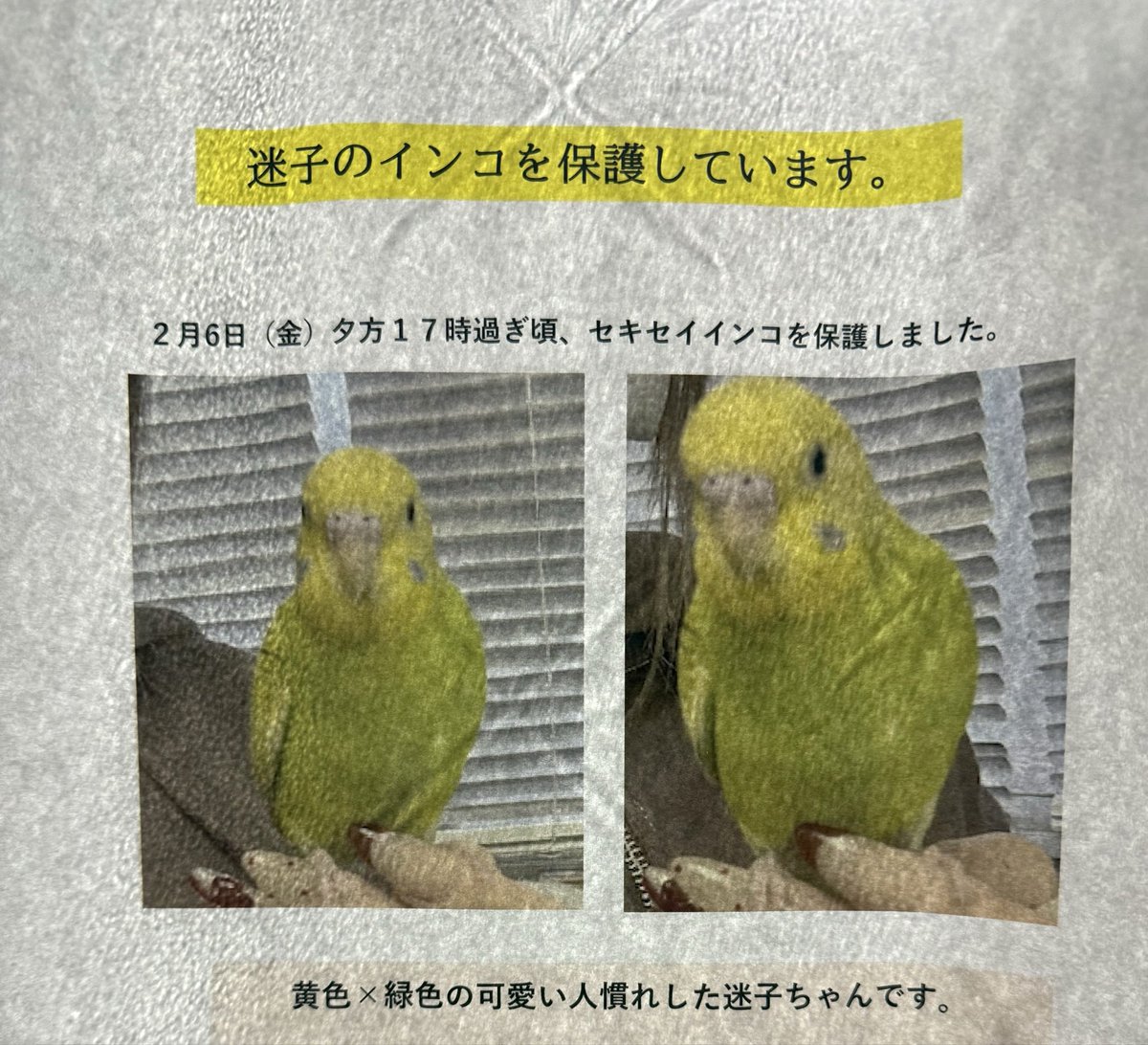 🖇roco✯ ୯ૃ(⁎⁾̵ ਊ ⁽̵)੭ુ⁼³₌₃ (@rocomix88) / Posts and Replies / X