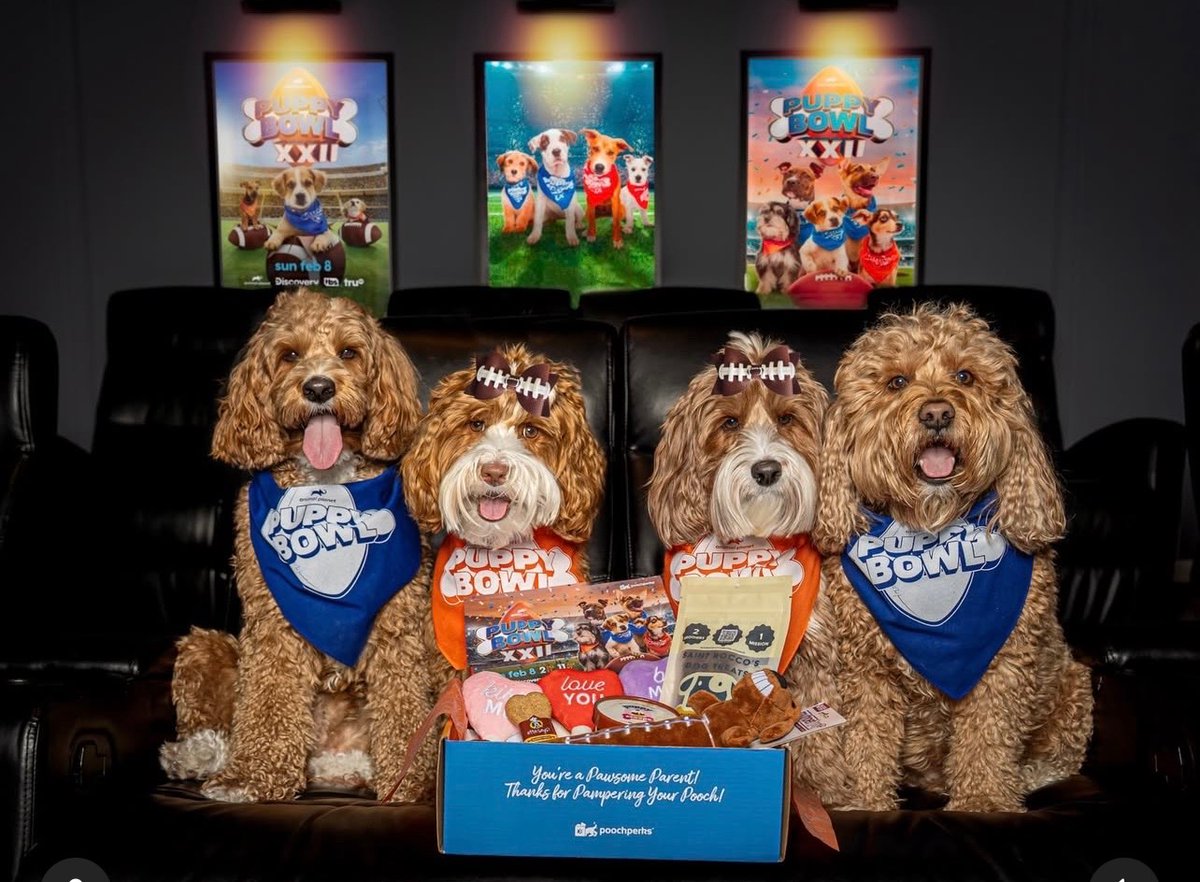 PoochPerks tweet media