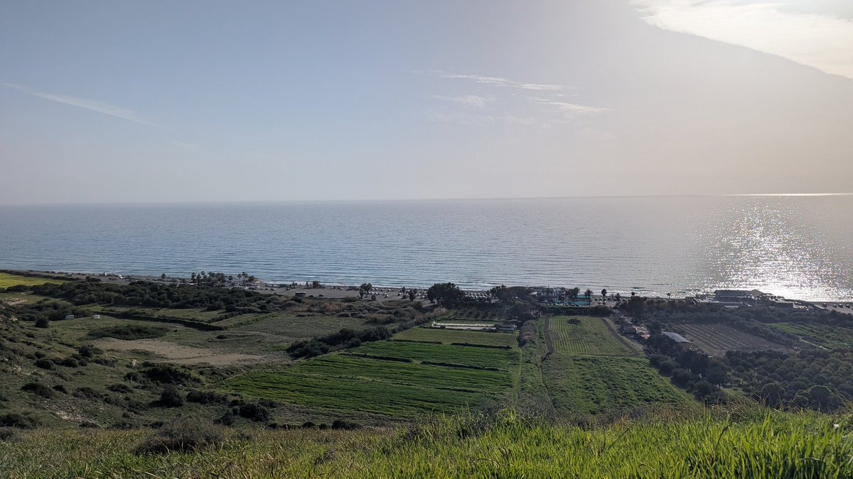 Maria Kruglova tweet media