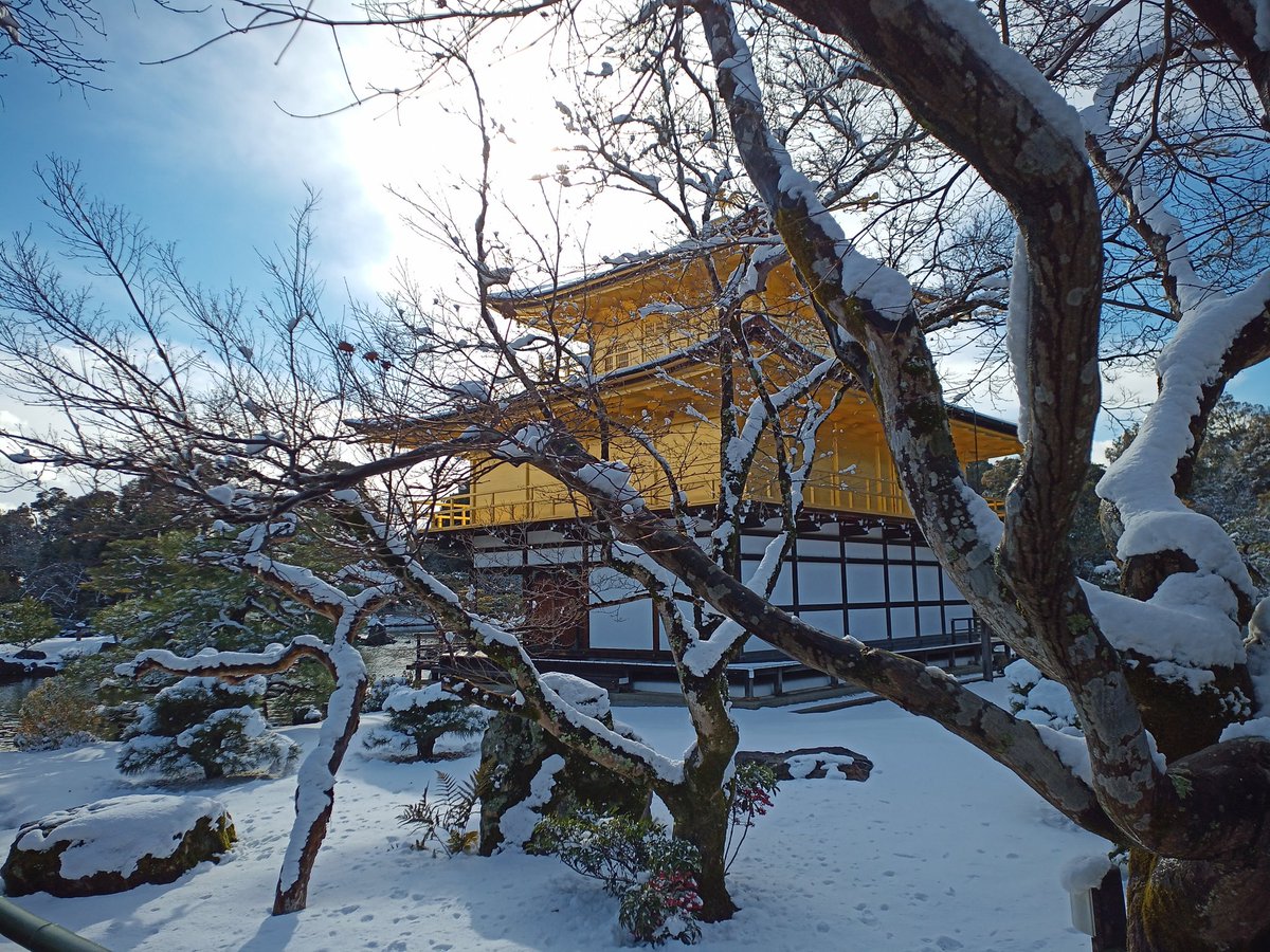 bOackthunder's tweet photo. 雪が降ったので金閣に行ってきました
↓個人的ベストショット https://t.co/TP639BxQ42
