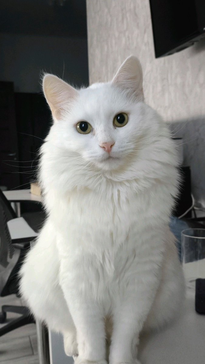 leeknow1sm's tweet image. 