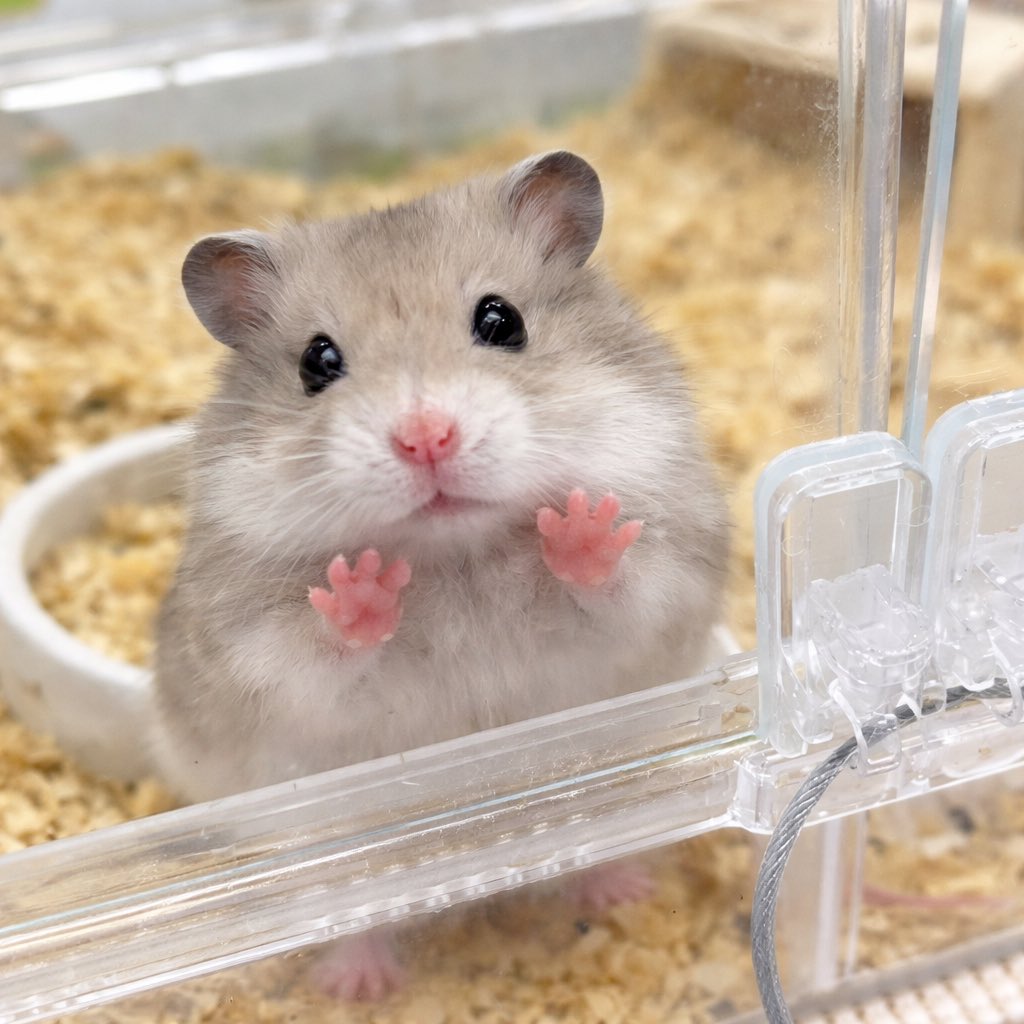 そうやって他の奴にも媚び売ってんやろ
まぁ、買うけど