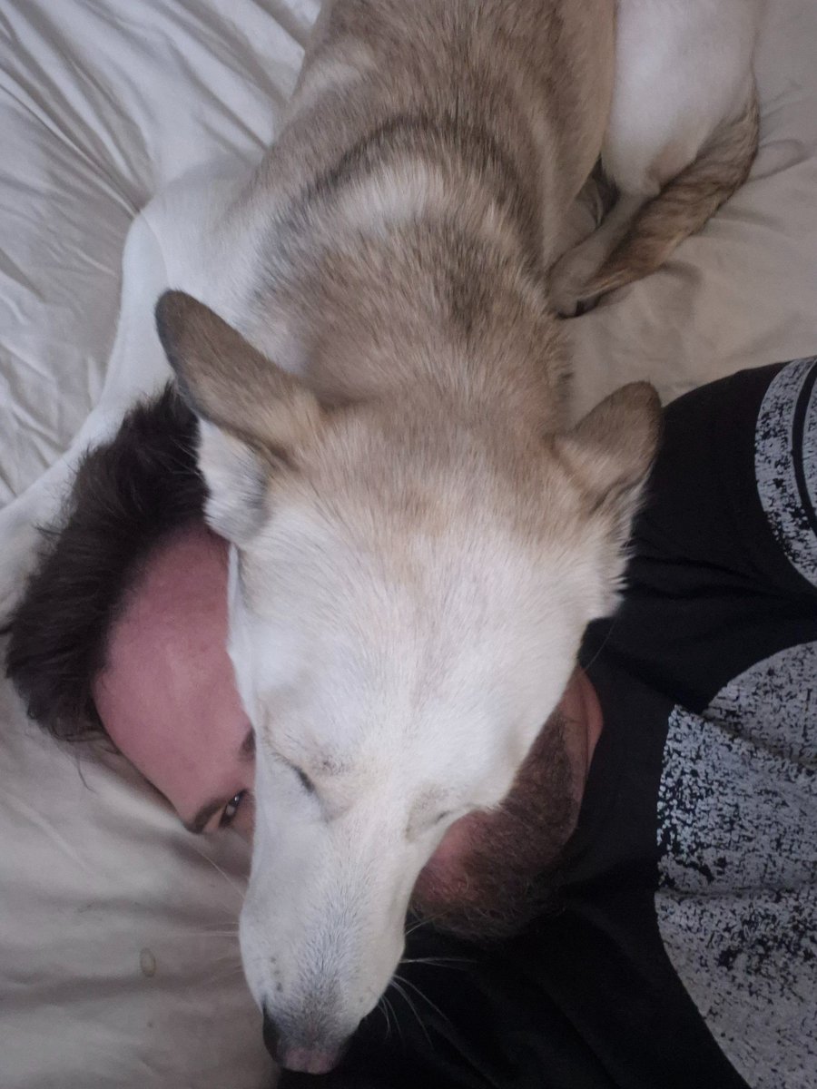 LastBearInSpac1's tweet photo. Luna cuddles lol https://t.co/xEjvV92nR0