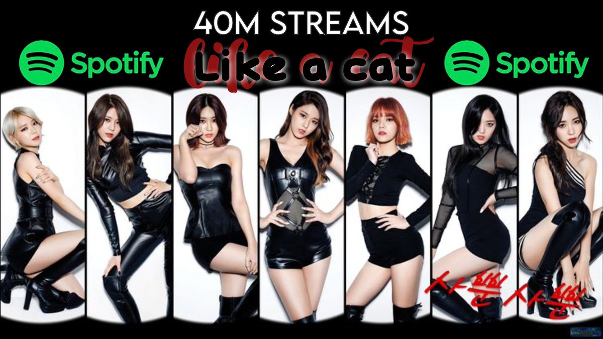 aboutaoa's tweet photo. AOA "Like a cat" surpasses 40,000,000 streams in Spotify!🔥
#AOA #LikeAcat https://t.co/00kkK9CCcB