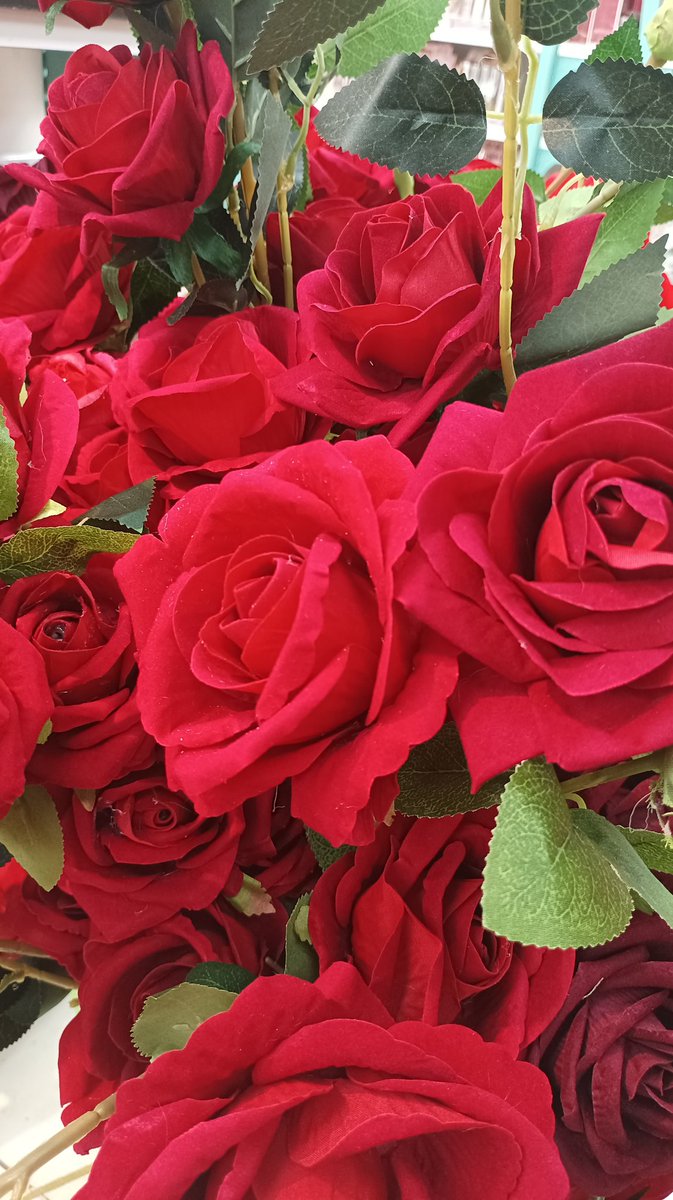 Xephinaa's tweet photo. Amooo las rosas, no importa si son flores plásticas las amo igual 🌹❤️ https://t.co/n6TTWlWDS4