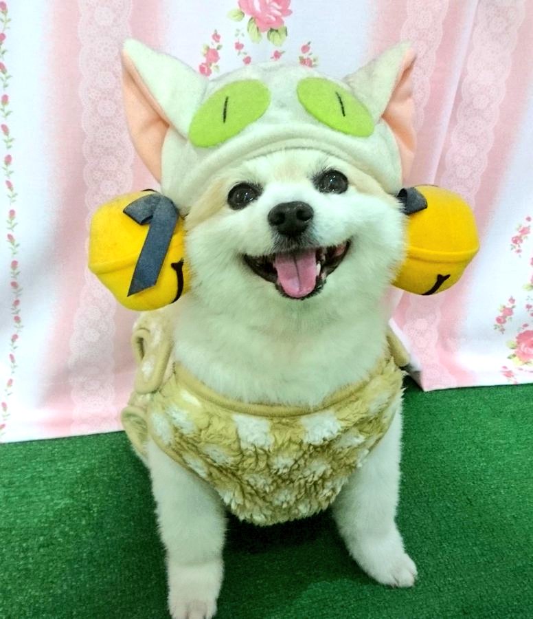 Maruci_Beau_Cou's tweet photo. でじこ様、お誕生日おめでとうございます🎉 #デ・ジ・キャラット生誕祭2026 https://t.co/bJjcqOaknM