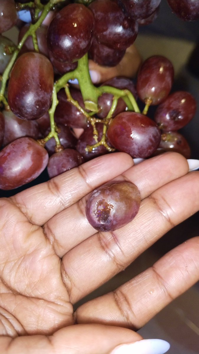 Symoh_'s tweet photo. @CarrefourKe this is very disappointing after being a client for a long time and making orders online, it seems like you guys have low quality assurance. For the first time, I got bad grocery delivery especially fruits. What is this? https://t.co/Hjyal7F773