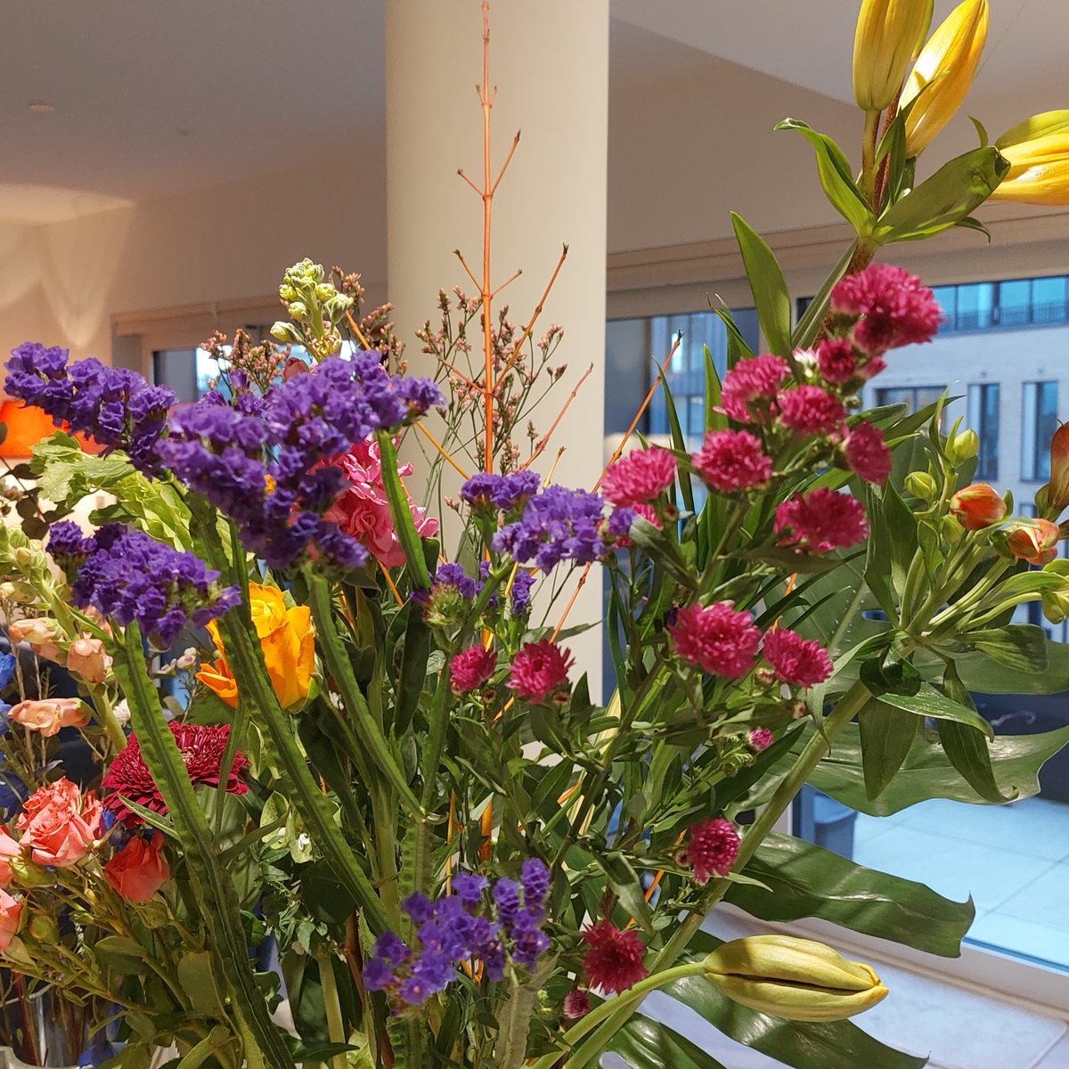 DrDoomish's tweet photo. @festinagirl @WestemeyerSusan @lukascph the previous one was a little spare, that time of year I suppose, but this one shows that spring and hot houses are beginning to show again, enjoy.......... https://t.co/qpR1VTW5hq