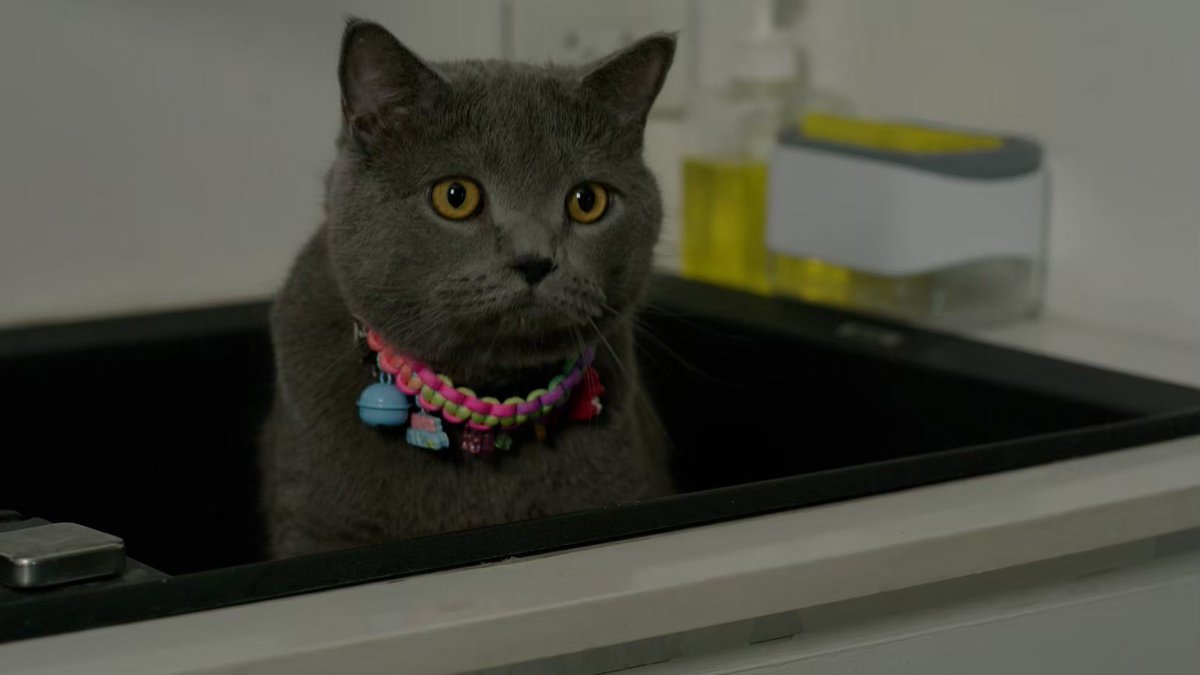 แสนสี่....พ่อเอ็ง มันโบ...สม...

Love Alert EP7
#LoveAlertEP7