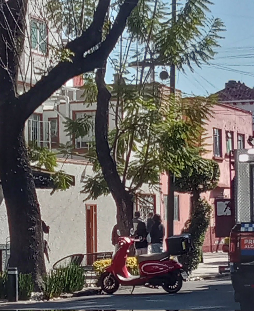 Villa de Cortés 🌳🌲🌴🍃💧🚴🍉 tweet media