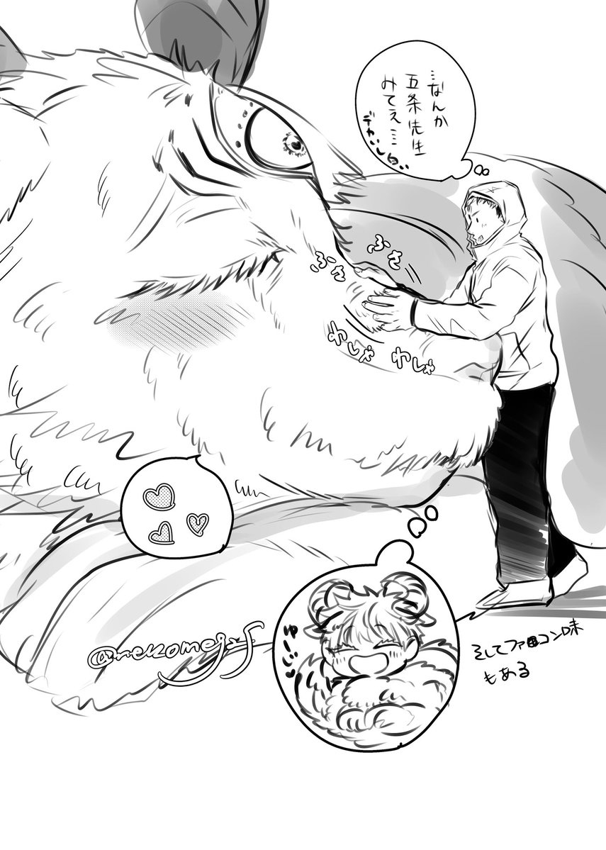 🤍🐈にゃんまる🐈🤍 (@meow_321_) / Posts / X