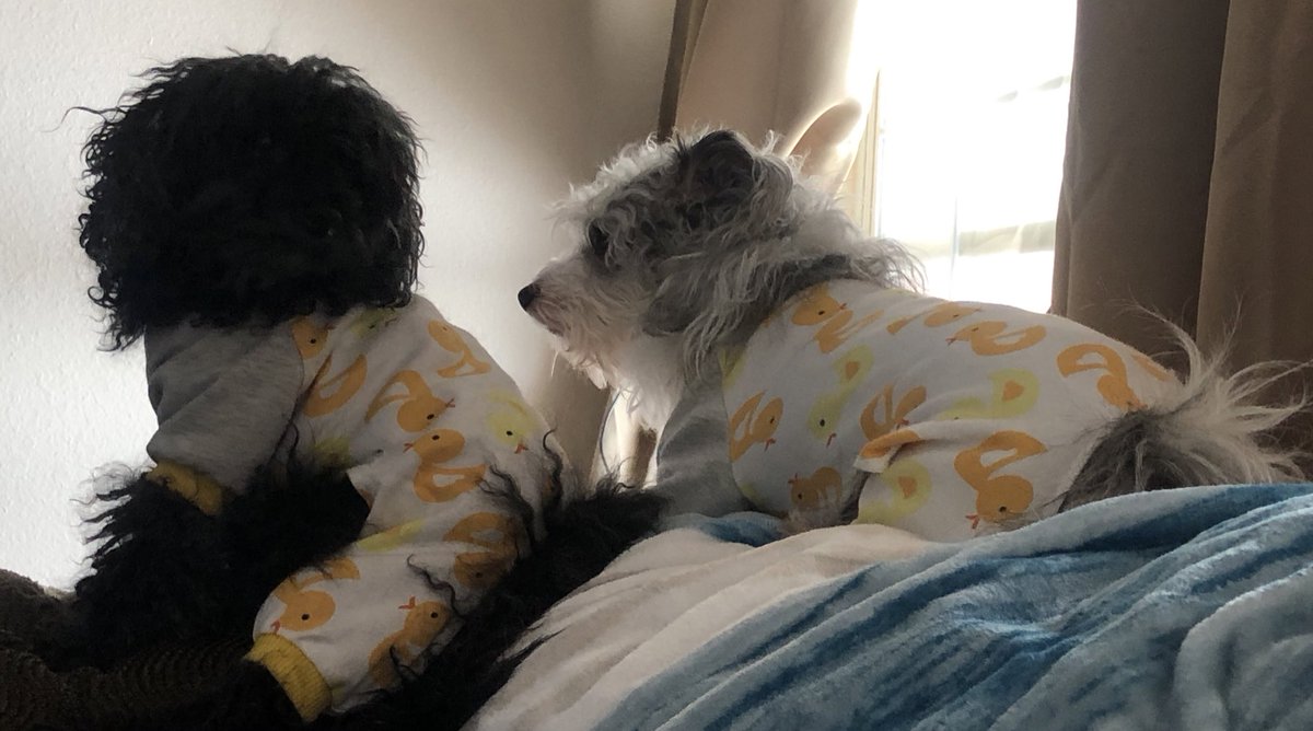 Super Bowl Sunday and Winter Olympics. Oh my. There is so much to watch. But in my house football wins. Everyone enjoy the a great sports weekend.