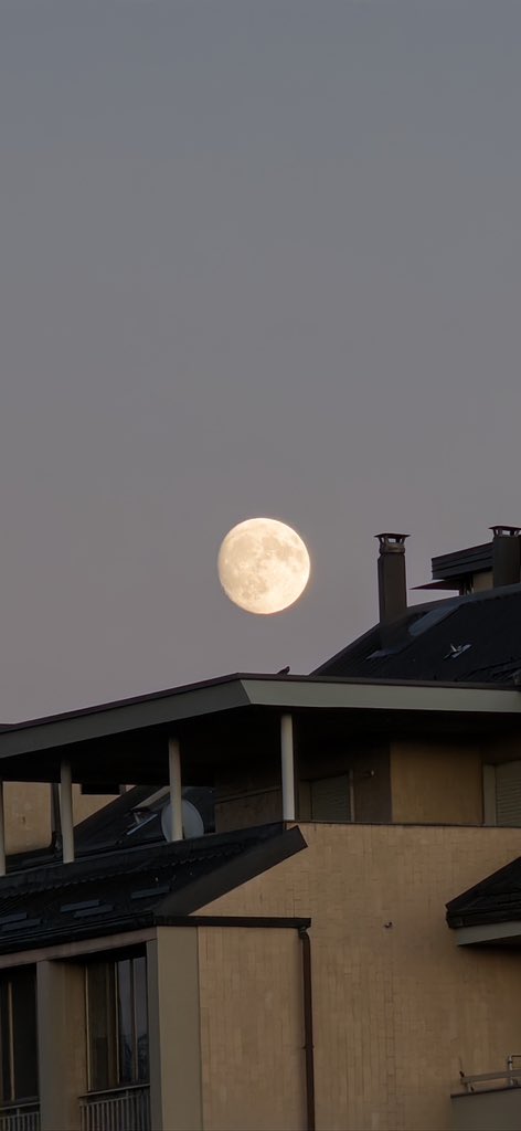 Abdullah tweet media