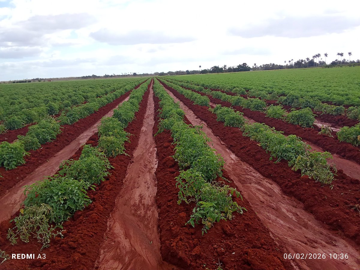 Ante los intentos de doblegarnos nuestra mejor repuesta es la unidad y el compromiso de trabajar en la búsqueda de alternativas.
#ANAPCuba 
 #CubaEstáFirme