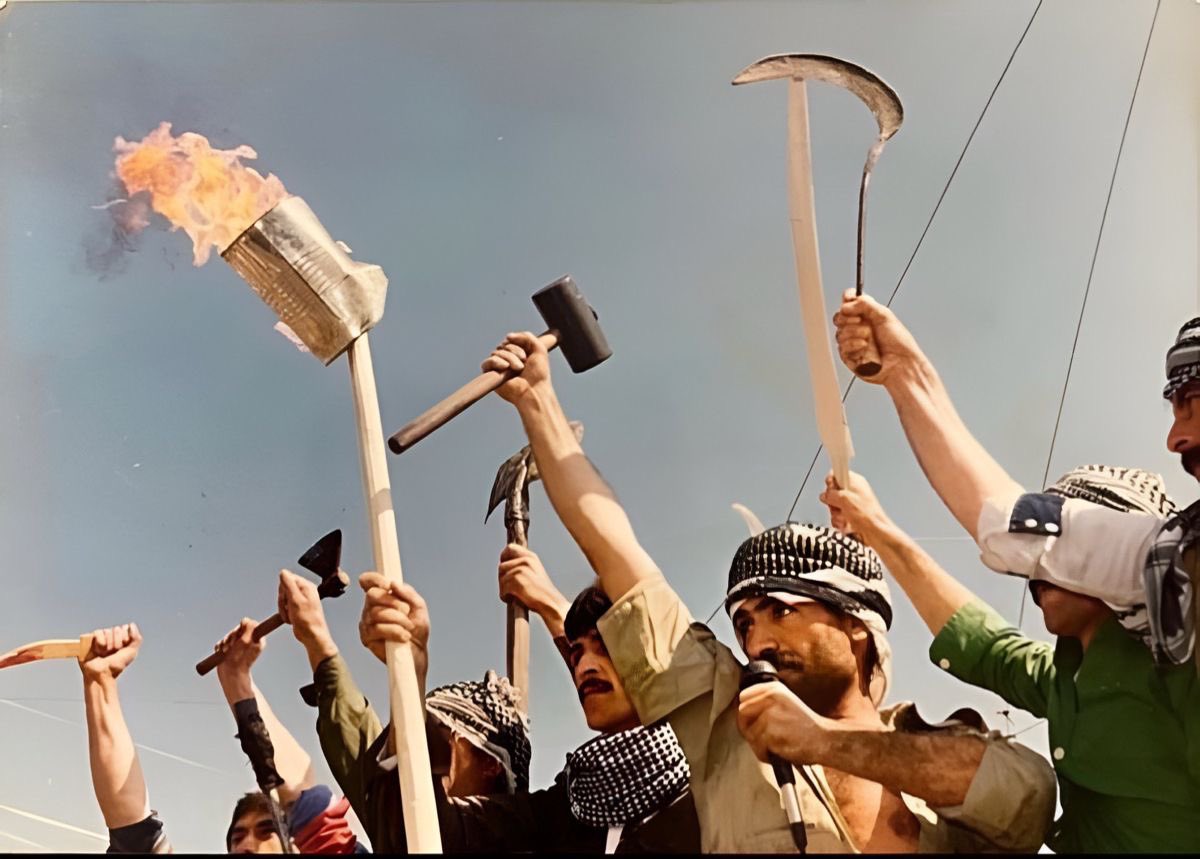 nanê sêlê tweet media