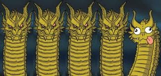 Grayson Pibal🐋 tweet media