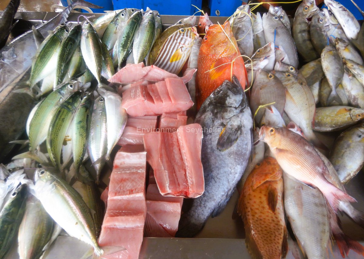 Catch diversity. We are truly blessed in Seychelles... but we need to do a much better job of managing our marine resources, English River market (23/01/26).