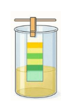 Proyecto Simbiosis🧬🌎👨🏫👩🏫 tweet media