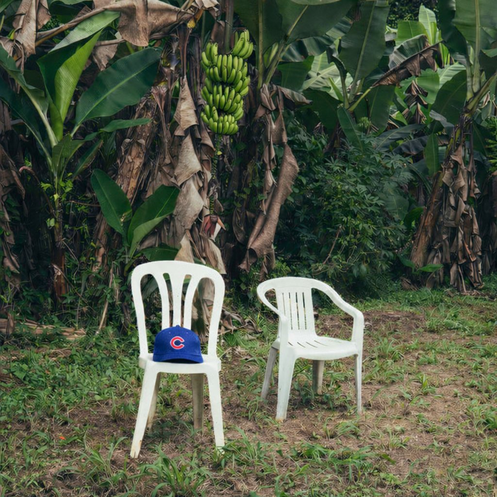 Cubs's tweet image. album of the year on repeat all day. 🎧