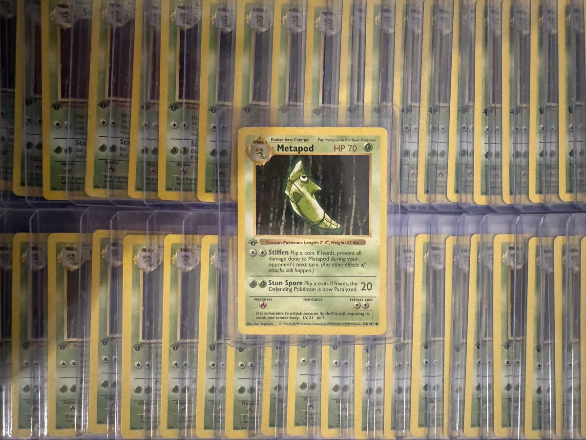 Metapod King tweet media