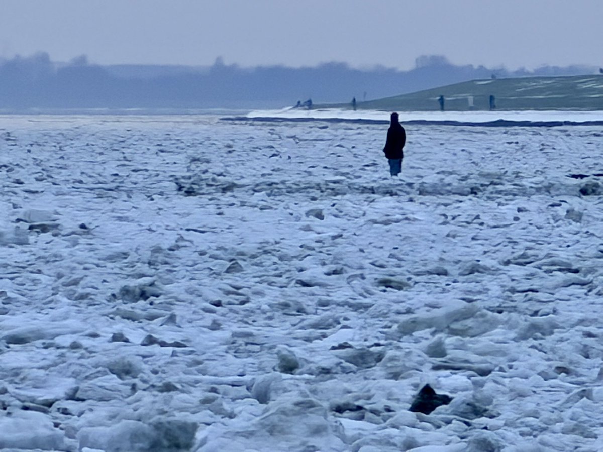 Malte Kirchner  tweet media