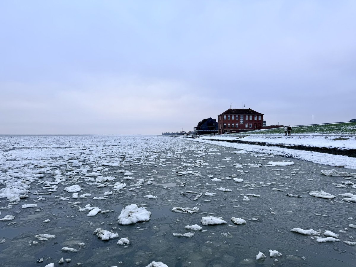 Malte Kirchner  tweet media