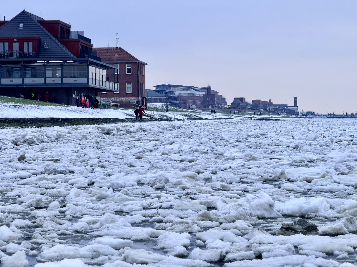 Malte Kirchner  tweet media