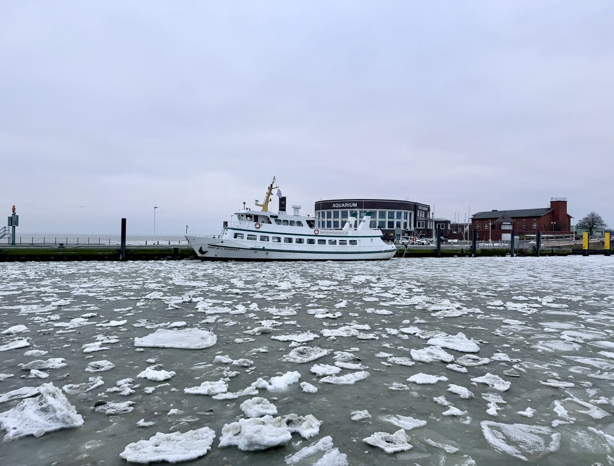 Malte Kirchner  tweet media