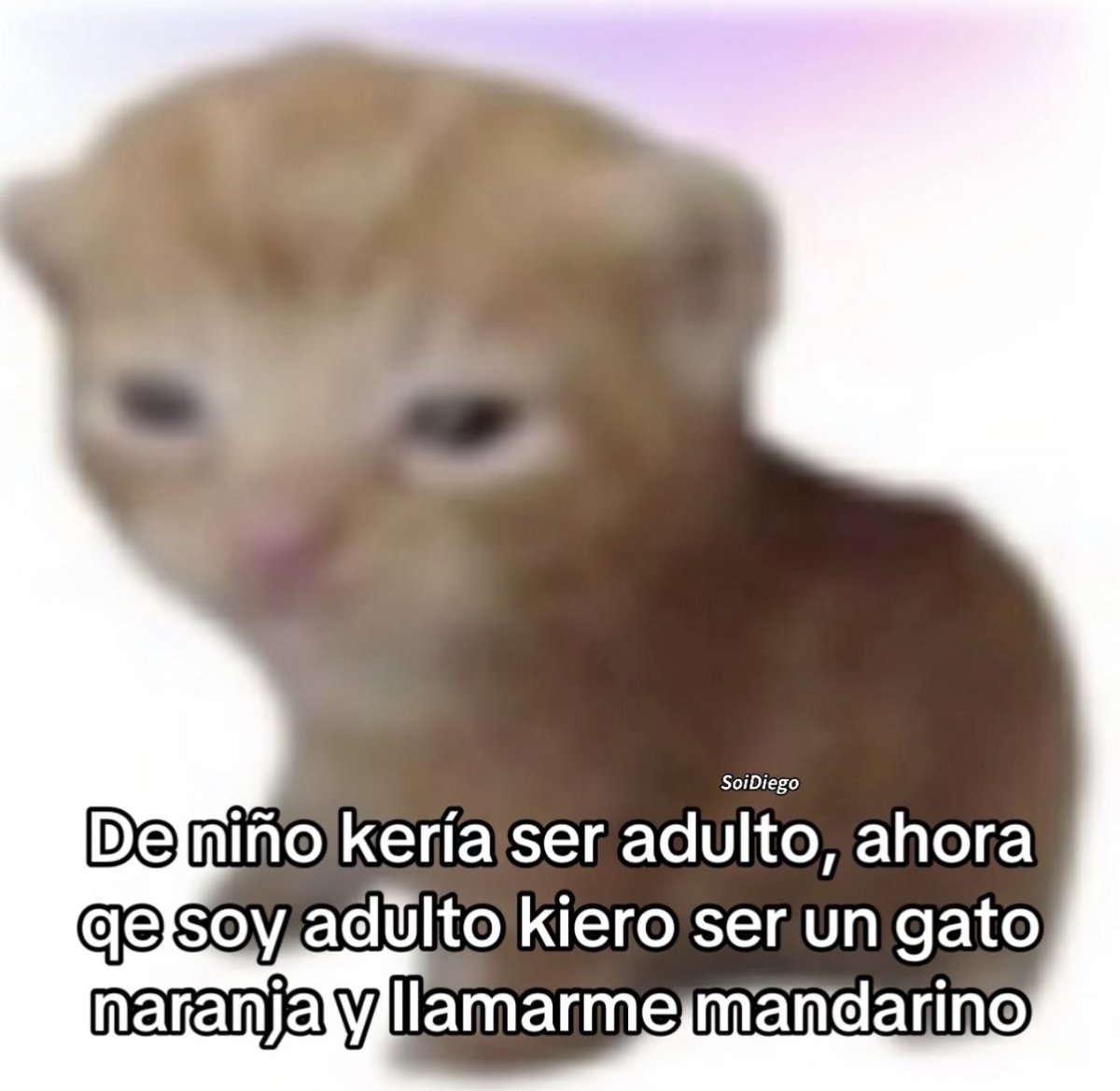 piña sin pizza (@skereunpesado) on Twitter photo 