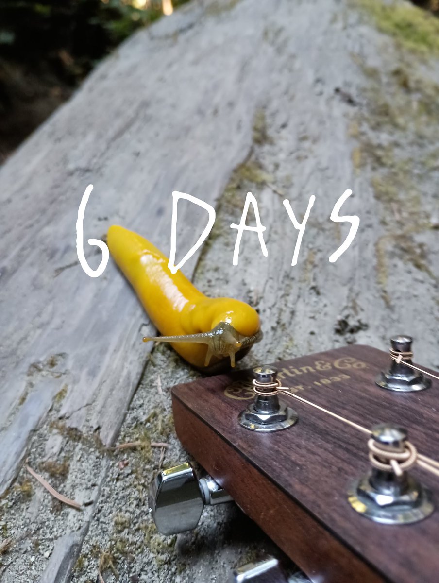 iamyukouno's tweet photo. my first record "beauty from ashes" drops in 6 days
https://t.co/fH0eIeDLFZ
#newrelease
#newalbum
#newmusic
#firstrecord
#indiemusic
#music
#rock
#poprock https://t.co/ozWsIJ0pwu