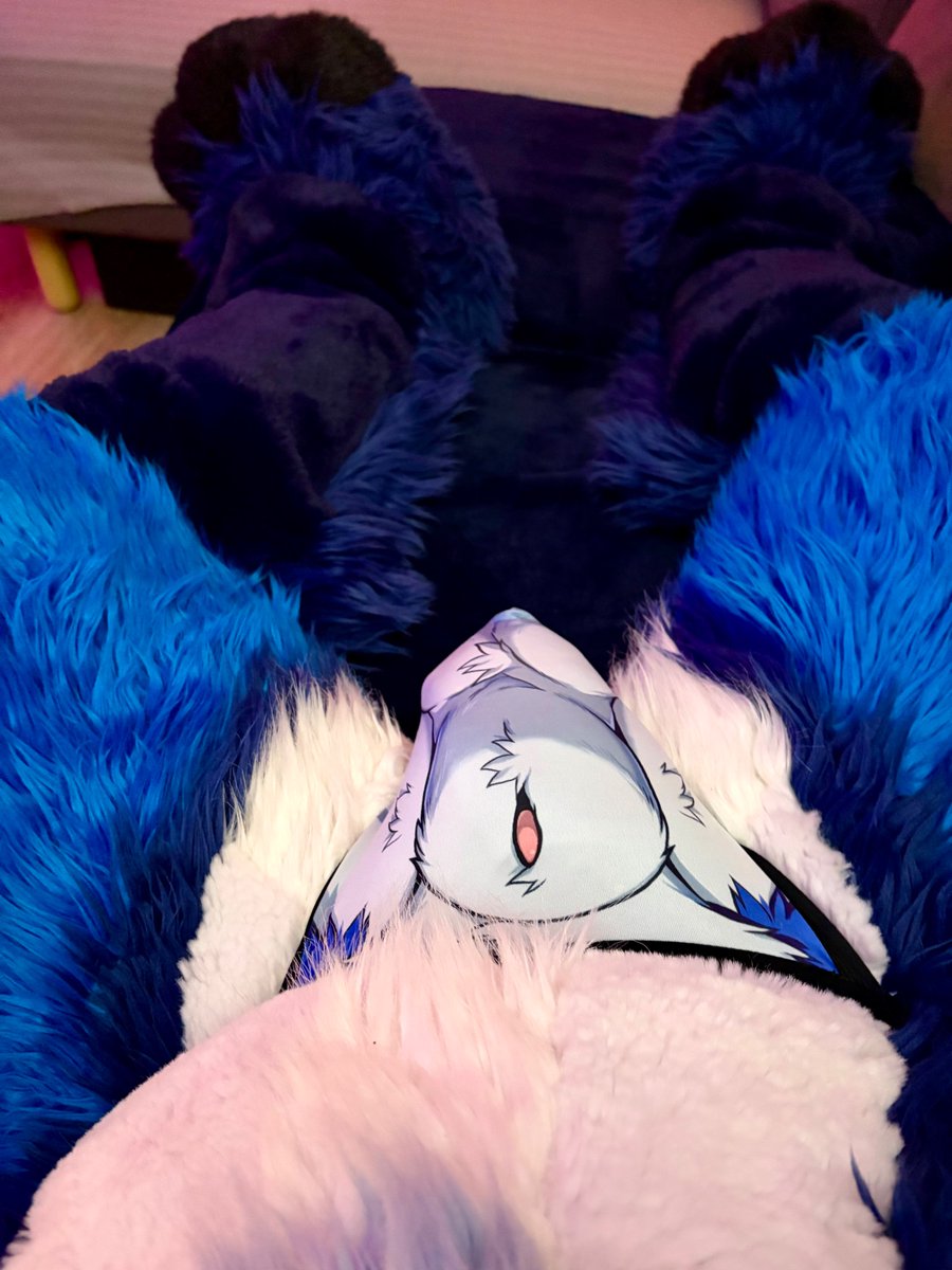 BlueBleats's tweet photo. Wanna sit on my lap? 👀 https://t.co/yobfMdzeqy