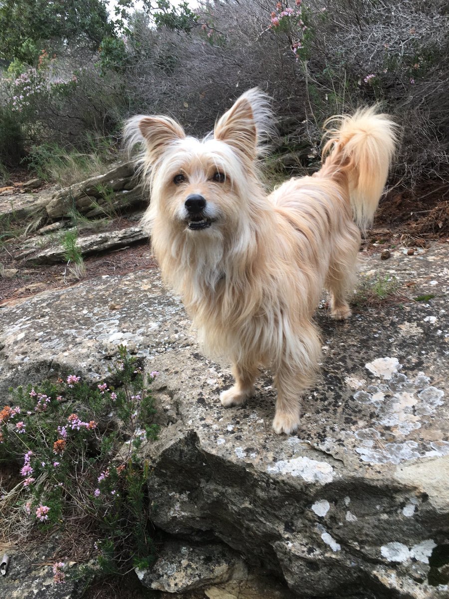 Beatrice Setruk tweet media